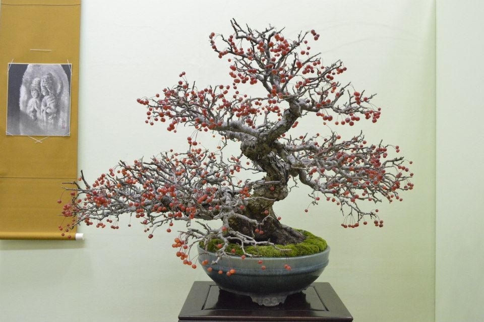 Taikan Ten 2012 034.jpg