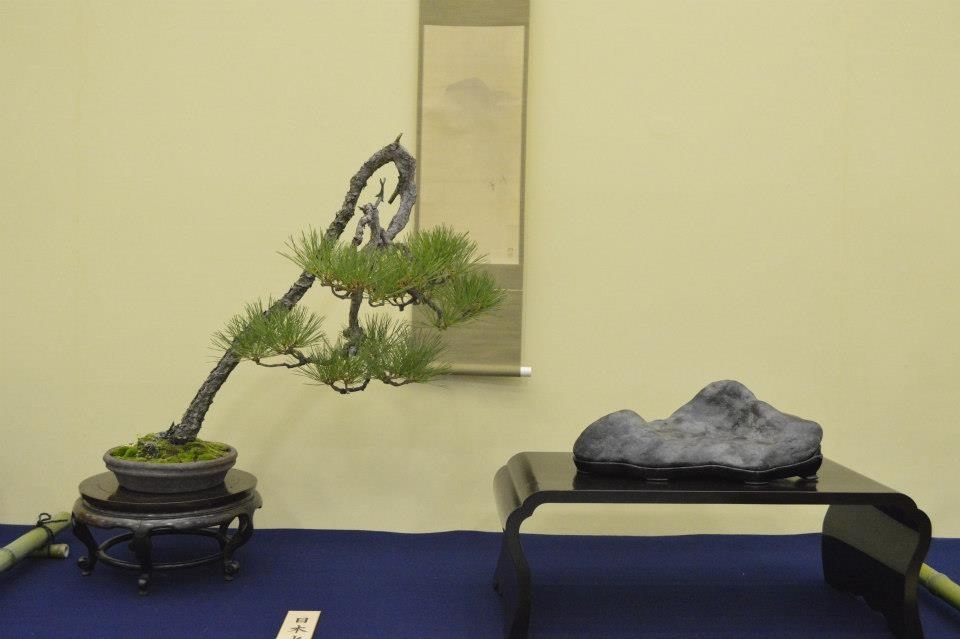 Taikan Ten 2012 035.jpg