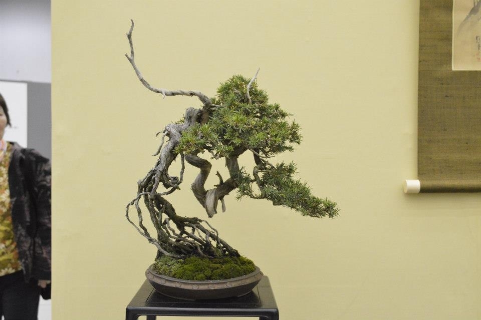 Taikan Ten 2012 043.jpg