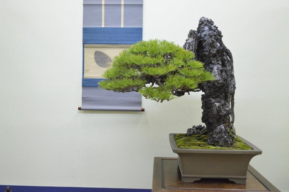 Taikan Ten 2012 051.jpg