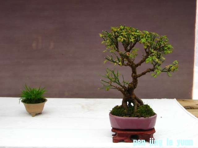 IMG_0089 (640x480).jpg