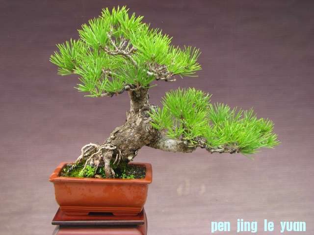 IMG_0091 (640x480).jpg