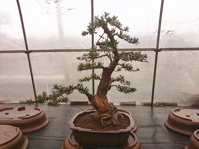 201212011995_.jpg