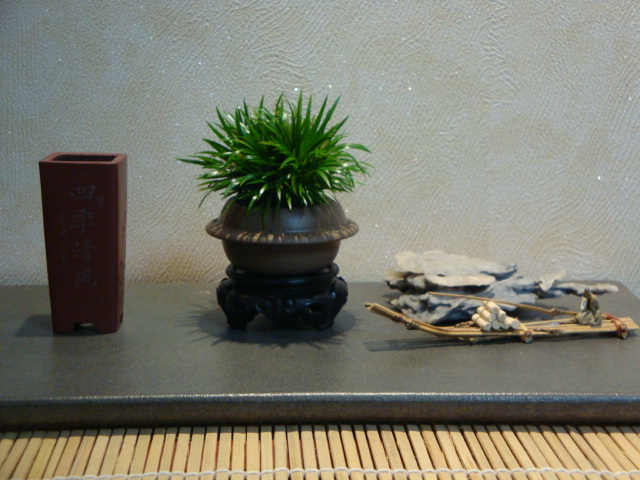 DSC01235.JPG
