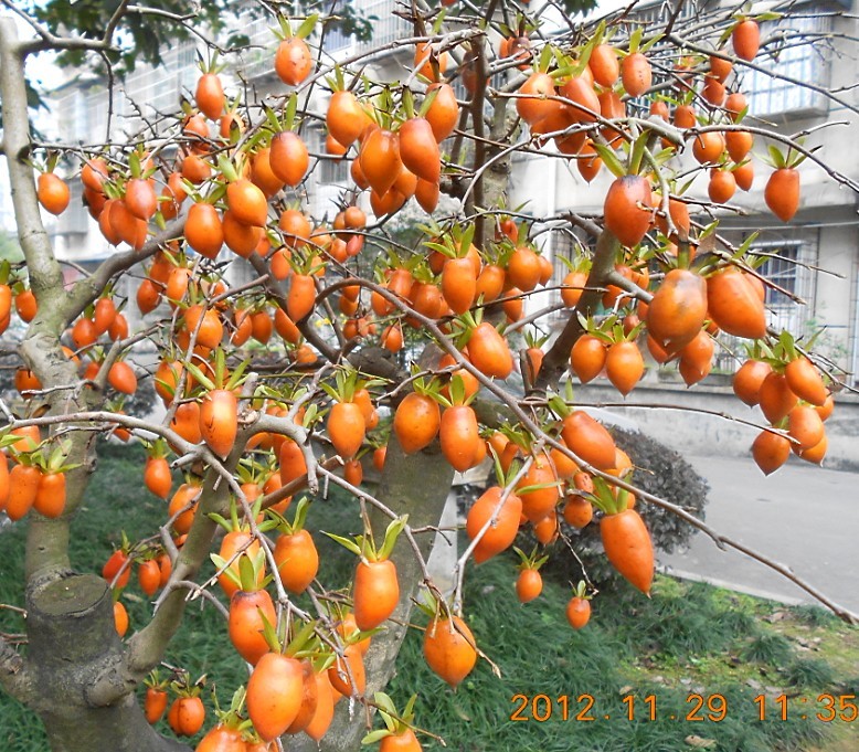 1202ѻ辰[03].jpg
