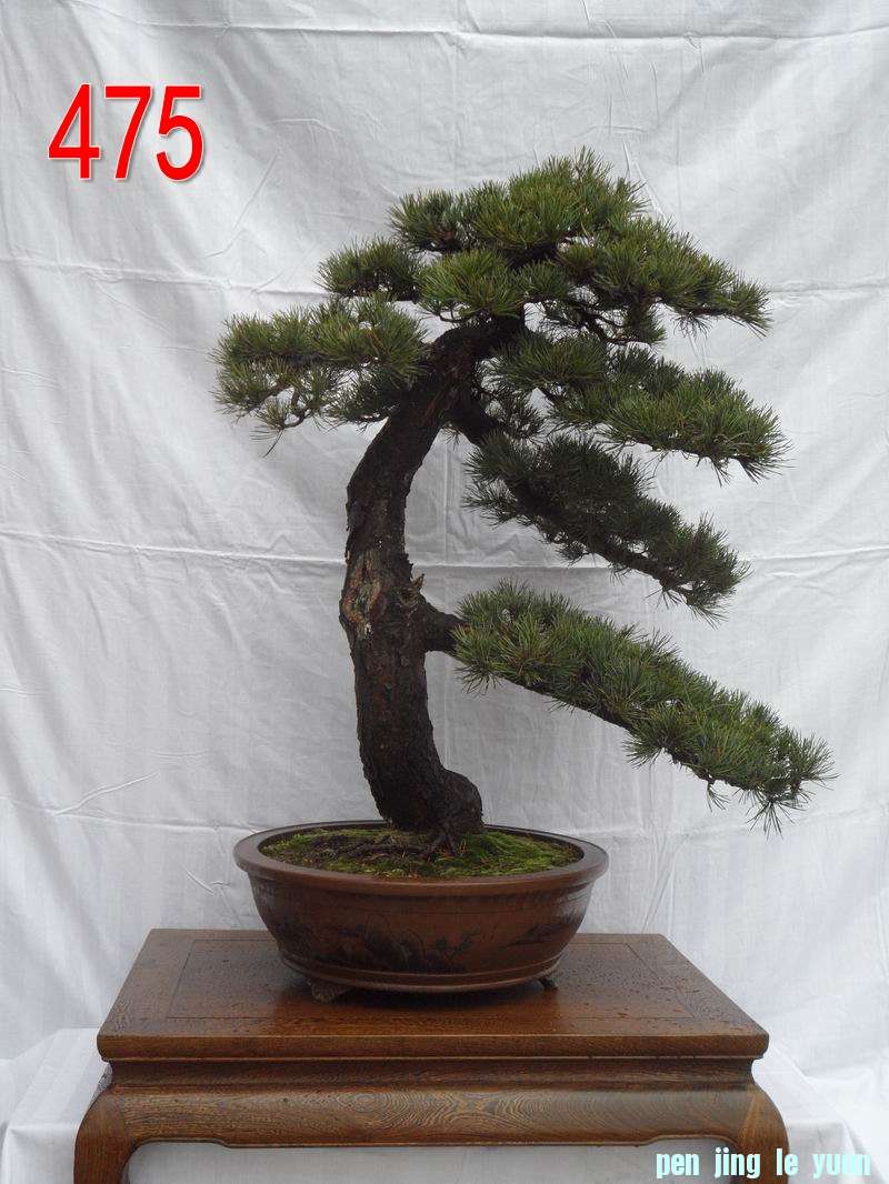 顷     8076 .jpg