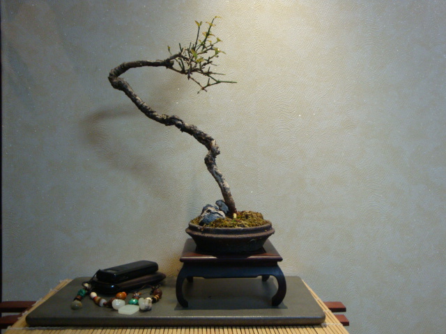 DSC01324.JPG