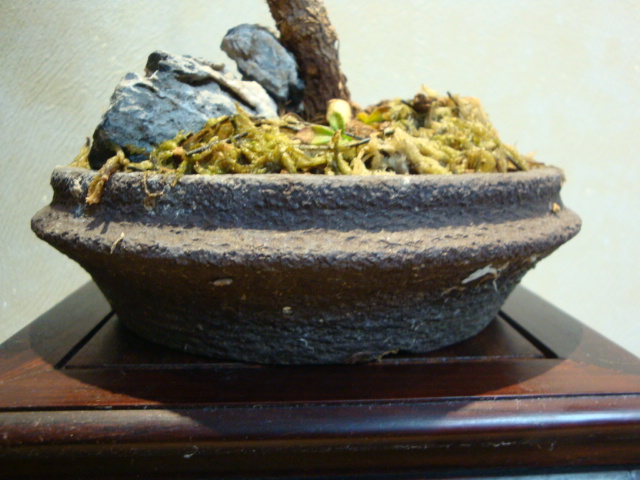 DSC01325.JPG