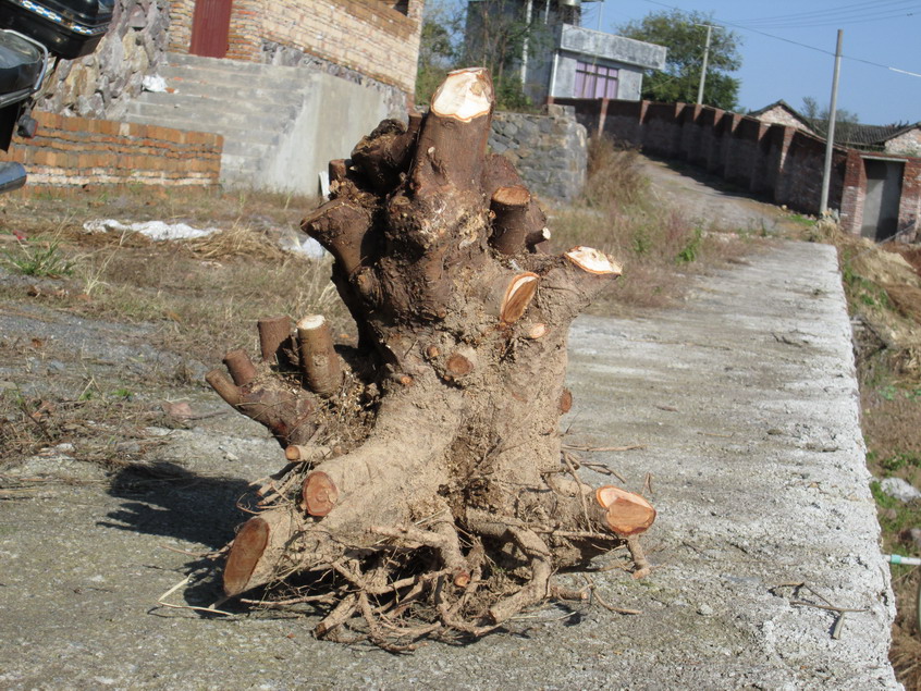 2012.11.21 012.jpg