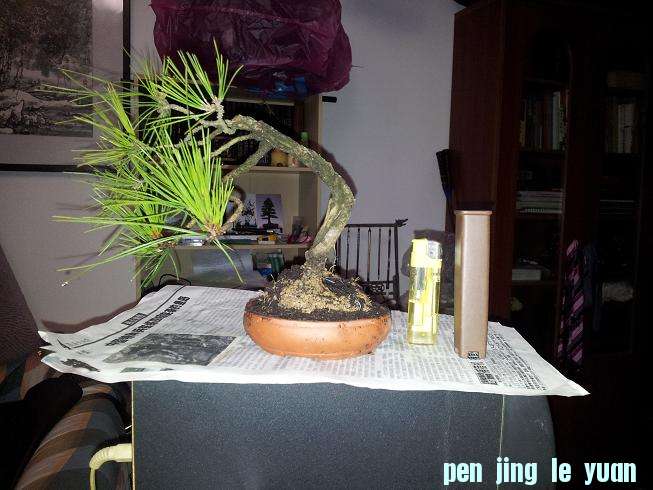 20121203_194125.jpg