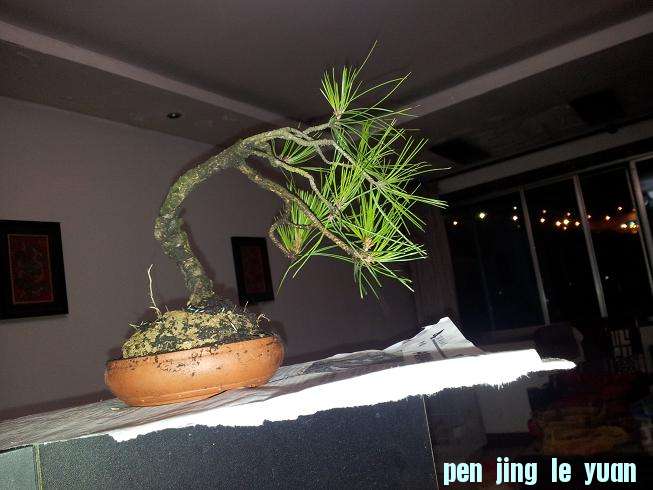 20121203_194404.jpg