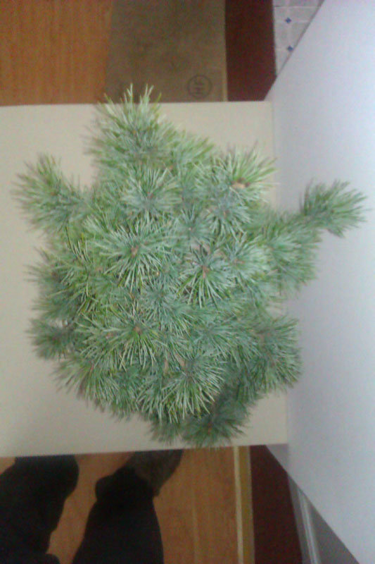 IMAG0367.jpg