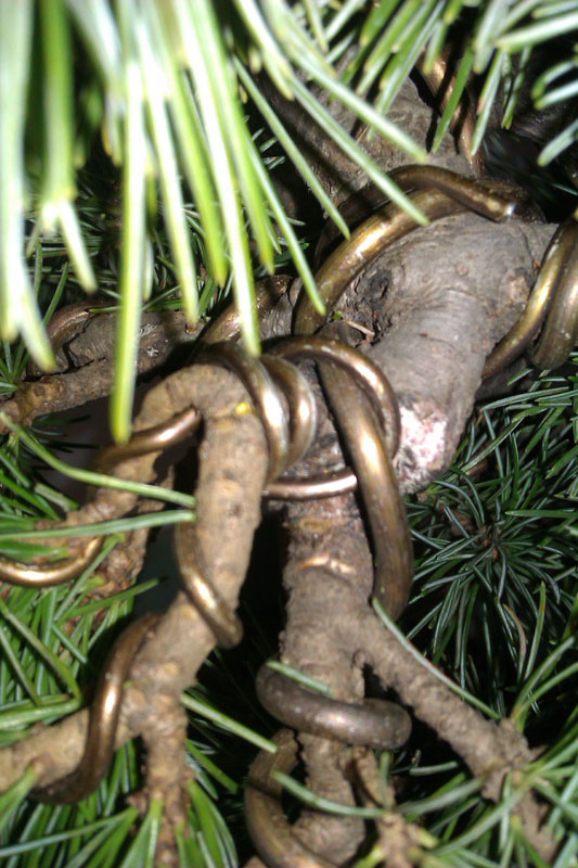 IMAG0410.jpg