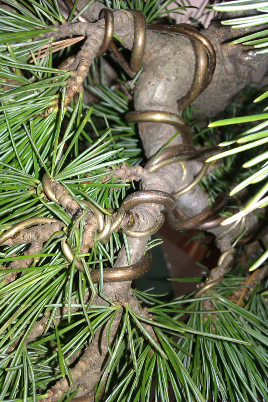 IMAG0412.jpg