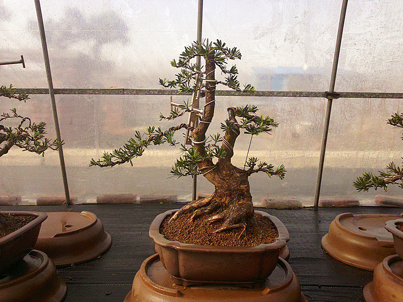 201212042003_.jpg