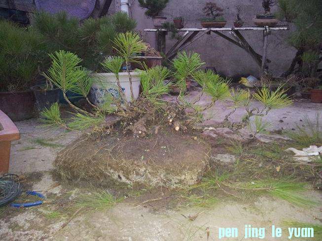 20121204_175316.jpg