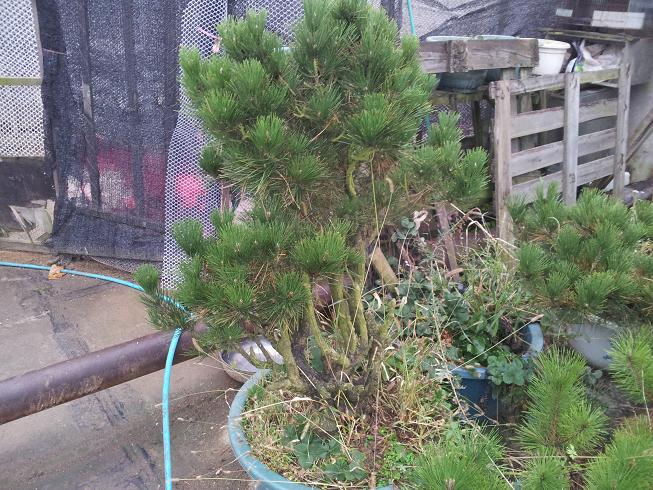 20121124_165700.jpg