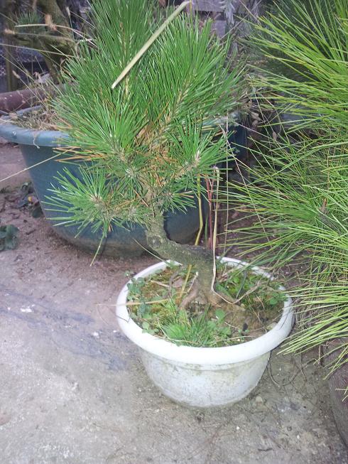 20121203_081418.jpg