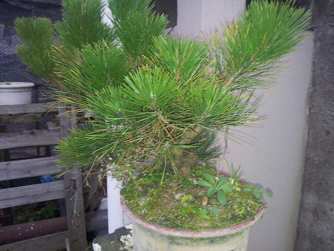 20121203_081432.jpg