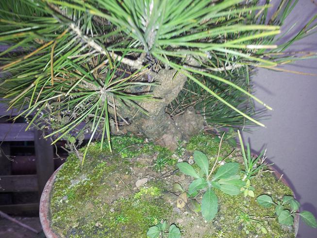 20121203_081439.jpg