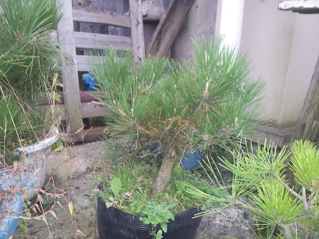 20121203_081500.jpg