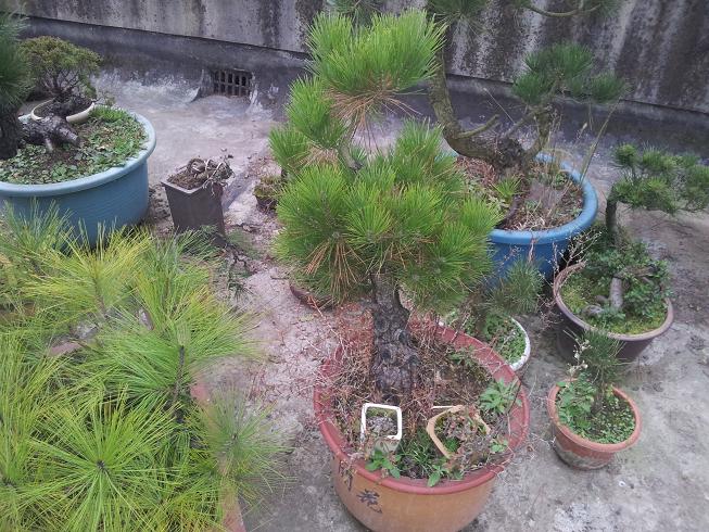20121203_081513.jpg