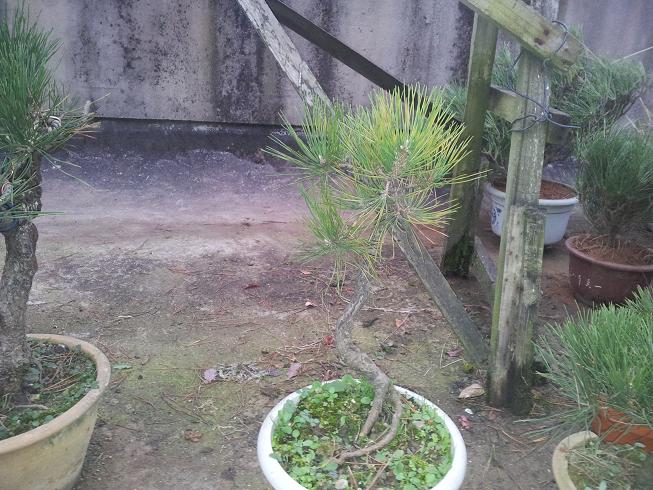 20121203_081529.jpg