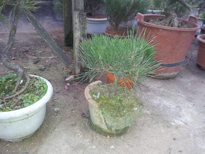 20121203_081532.jpg