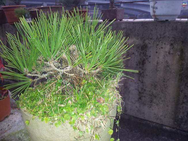 20121203_081544.jpg