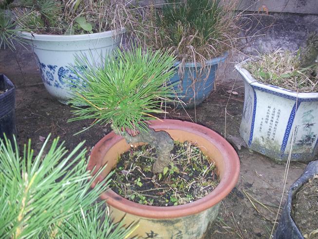 20121203_081602.jpg