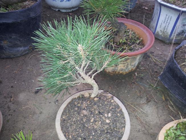 20121203_081606.jpg
