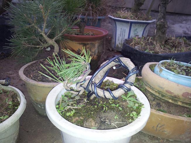 20121203_081618.jpg