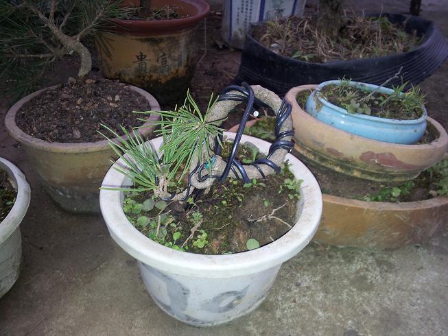 20121203_081624.jpg