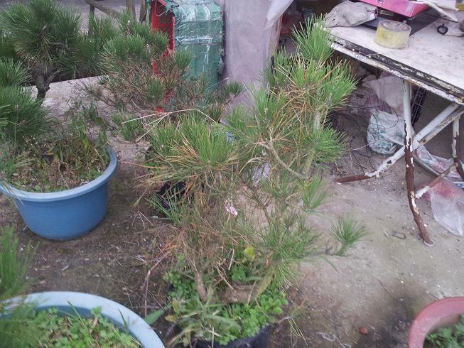 20121203_081641.jpg