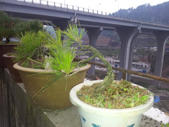 20121203_081657.jpg