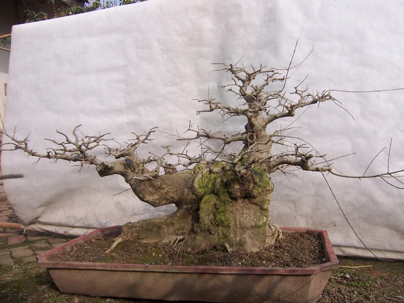 201212002.JPG