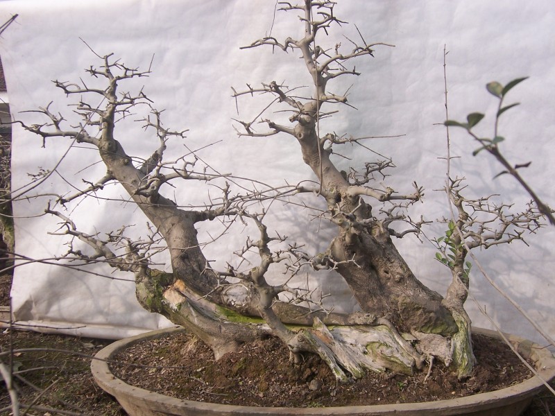 201212009.JPG
