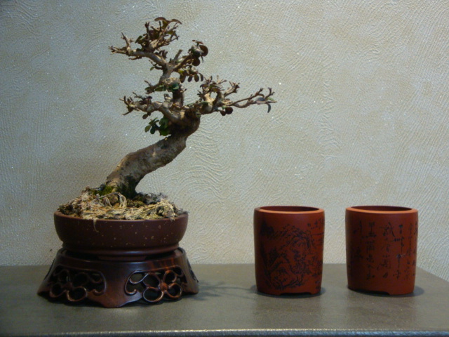 DSC01318.JPG