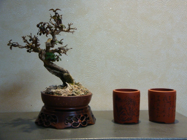 DSC01319.JPG