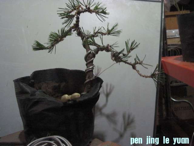 12-5 002.jpg