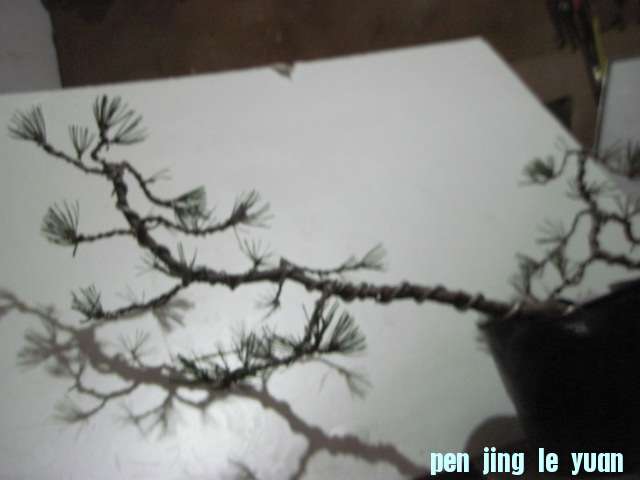 12-5 006.jpg