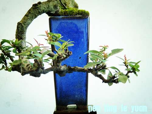 DSCN0299_.jpg