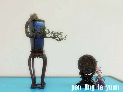 DSCN0306__.jpg