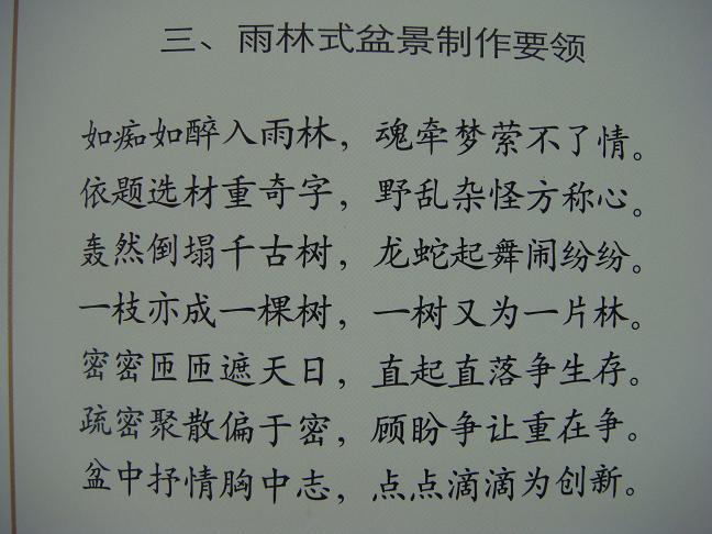 DSC03153.JPG