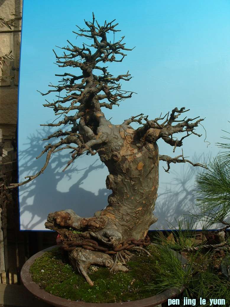 S1051858.JPG