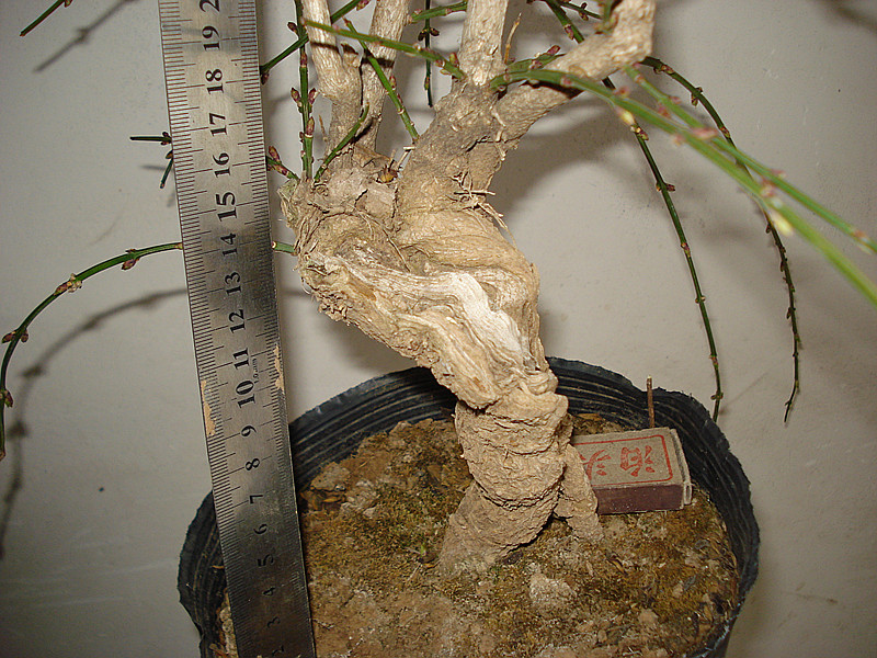 DSC03920_.jpg
