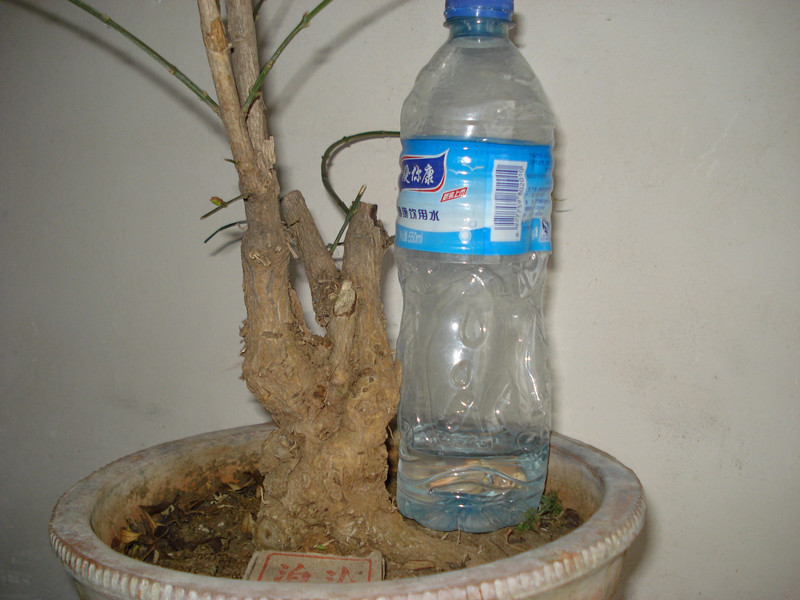DSC03926_.jpg