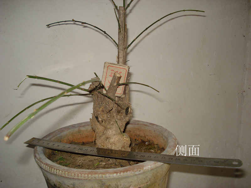 DSC03927_.jpg