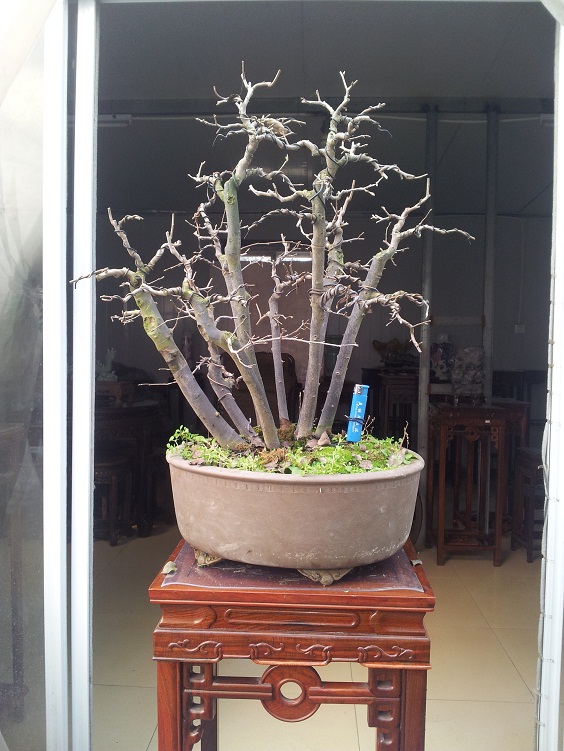 20121208_132915.jpg