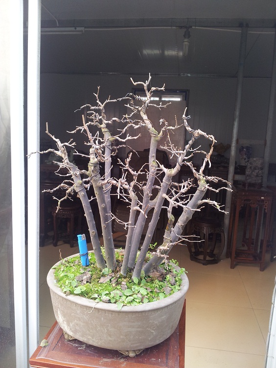 20121208_133357.jpg